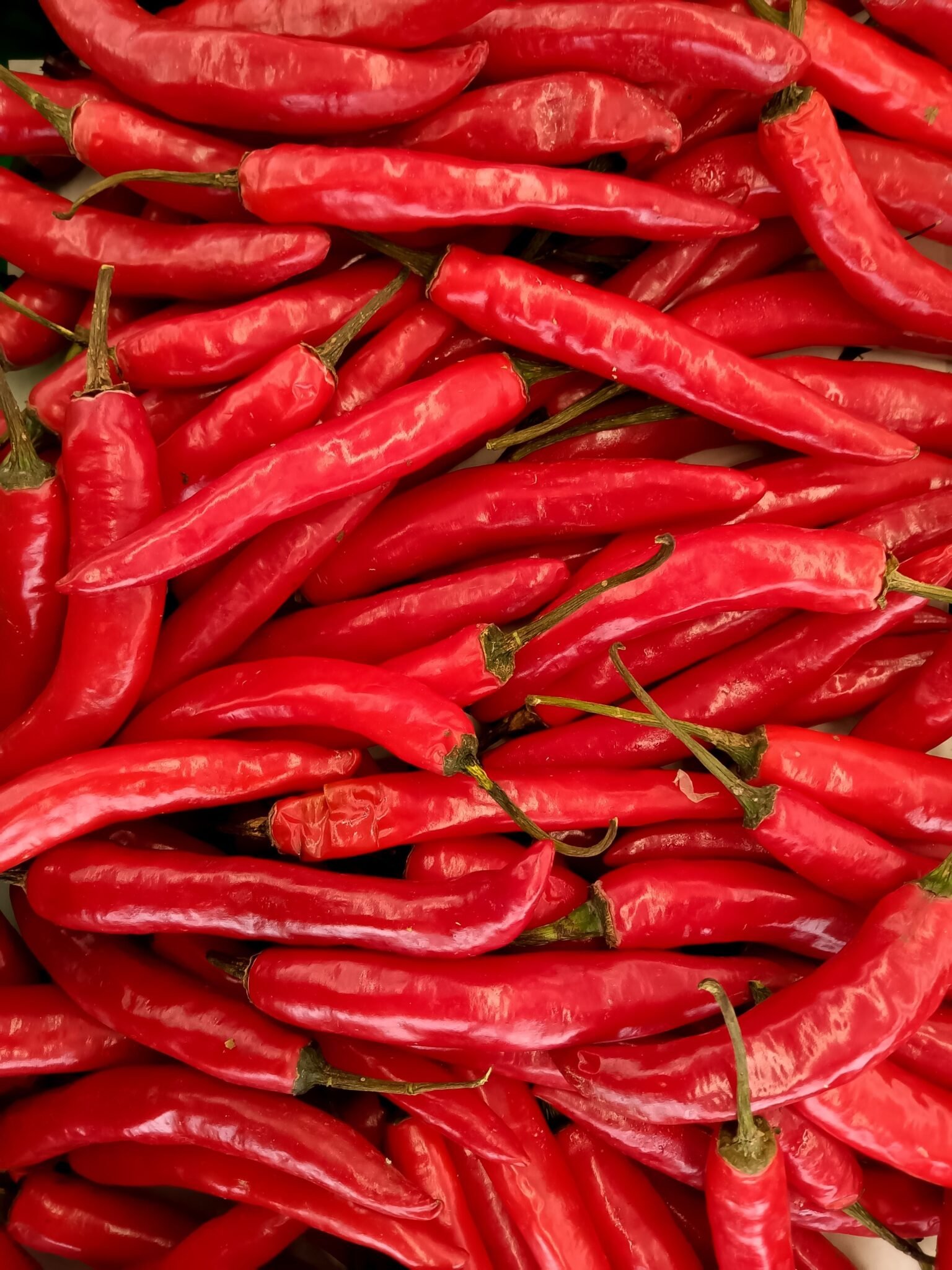 Red Chilli image
